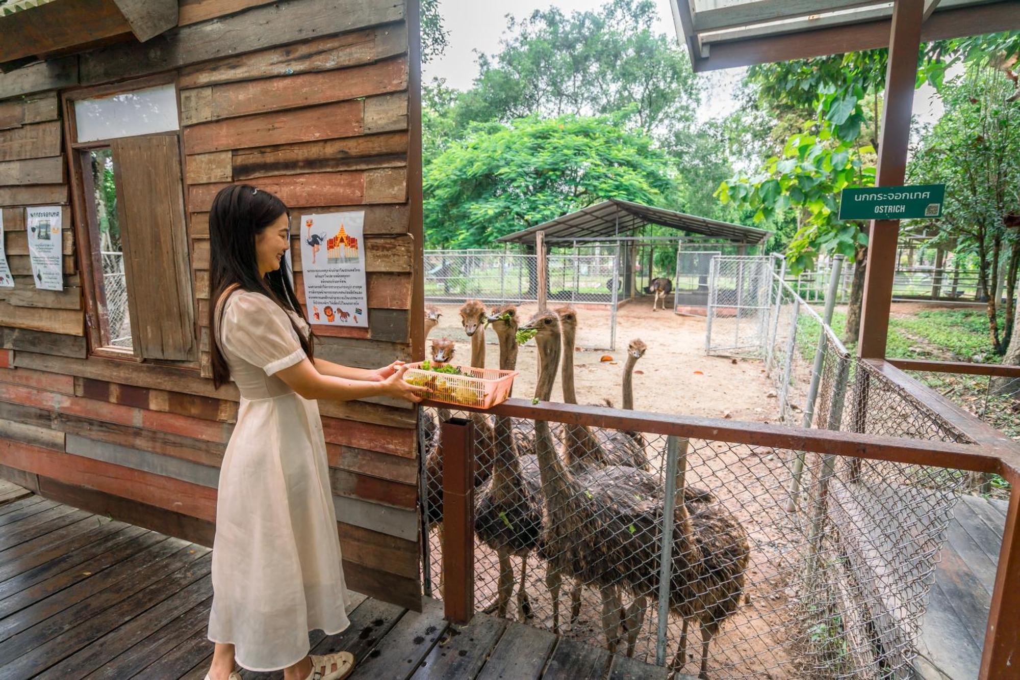 Horizon Village & Resort Doi Saket Exterior foto
